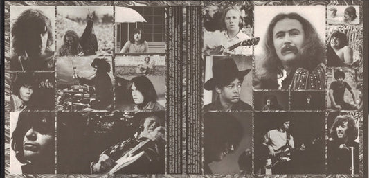Crosby, Stills, Nash & Young : Déjà Vu (LP, Album, MO )