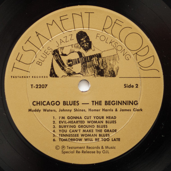 Various : Chicago Blues: The Beginning (LP, Album, RE)