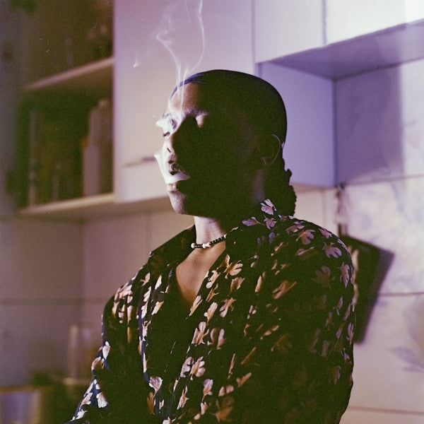 Zretro : Zretro (LP)