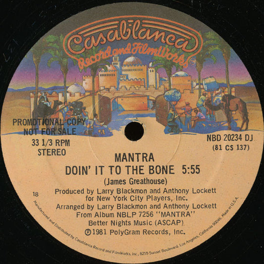 Mantra (4) : Doin' It To The Bone (12", Promo)