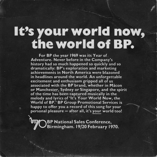 Unknown Artist : It's Your World Now, The World Of BP (7")