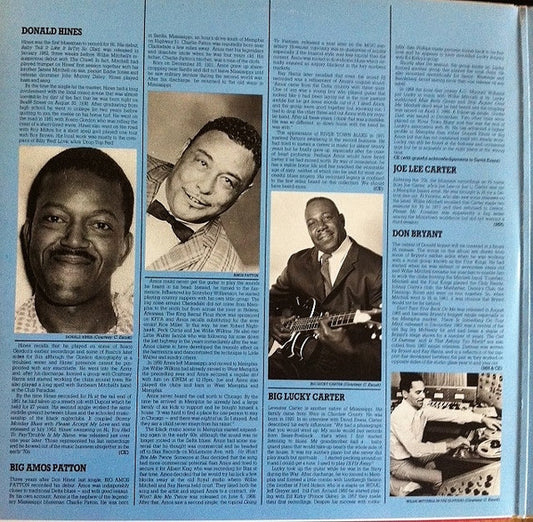 Various : Hi Records: The Blues Sessions (2xLP, Comp)
