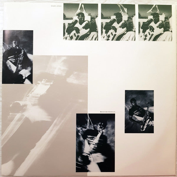 Sting : The Dream Of The Blue Turtles (LP, Album, Ltd, Blu)