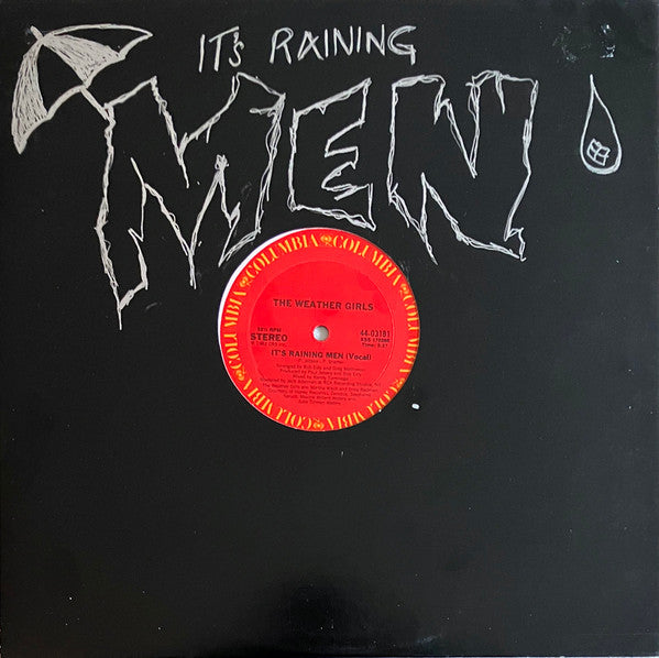 The Weather Girls : It's Raining Men (12")