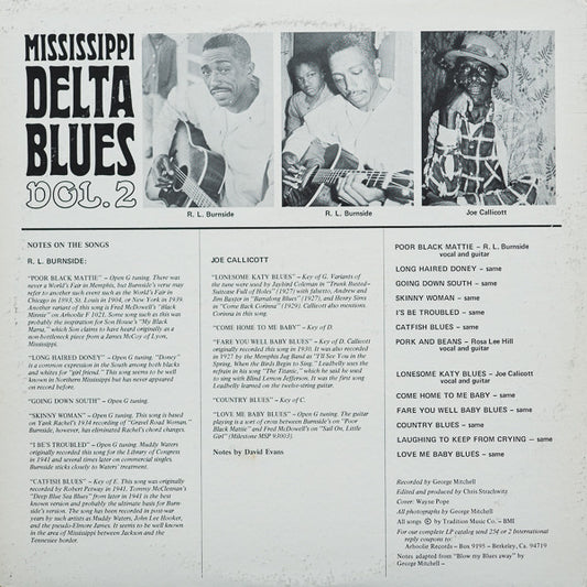 Various : Mississippi Delta Blues Vol. 2 (LP, Album)