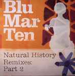 Blu Mar Ten - Natural History Remixes: Part 2 (12") (Very Good Plus (VG+))