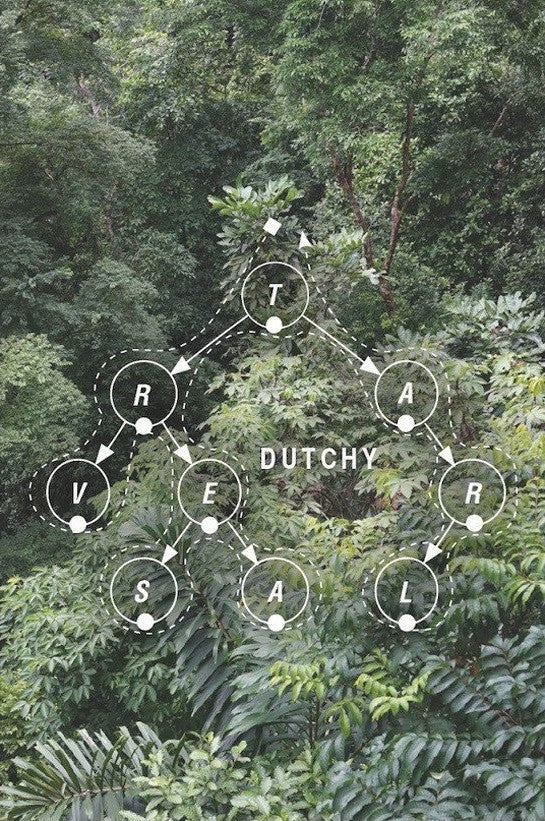 Dutchy (2) : Traversal (Cass, Album, Tra)