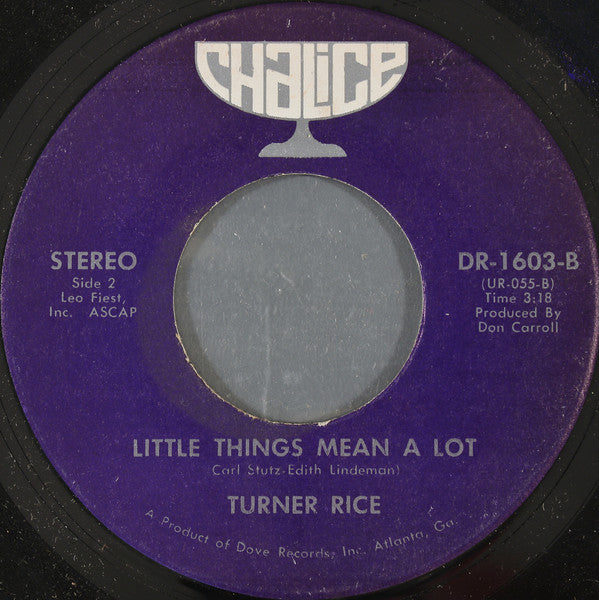 Turner Rice : Shelter (7")