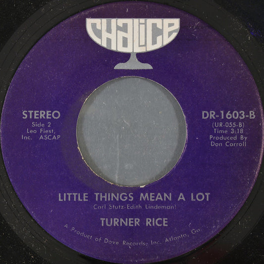 Turner Rice : Shelter (7")