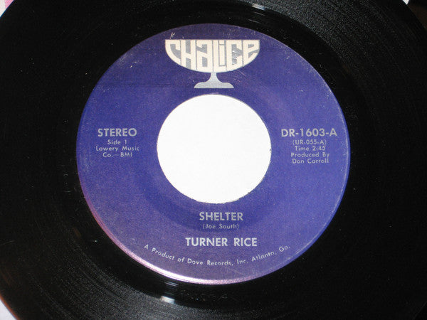 Turner Rice : Shelter (7")