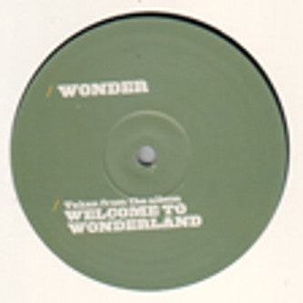 Wonder* : Can't Stand It (12", Pro)