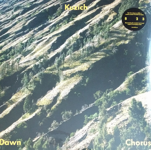 Kuzich : Dawn Chorus (12")