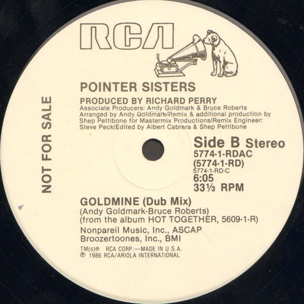 Pointer Sisters : Goldmine (12", Promo)