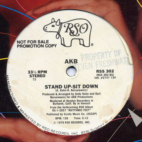 AKB : Stand Up-Sit Down (12", Promo)