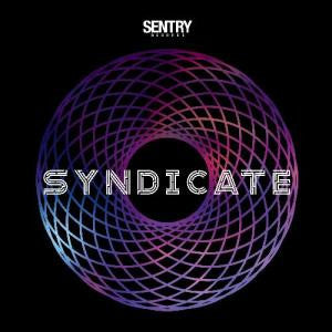 Various : Syndicate (2x12")