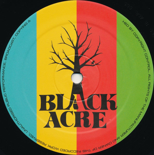 Landslide : Dreams & Visions (12")
