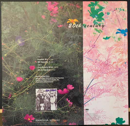 Brad : 20th Century (12", Single, Promo)