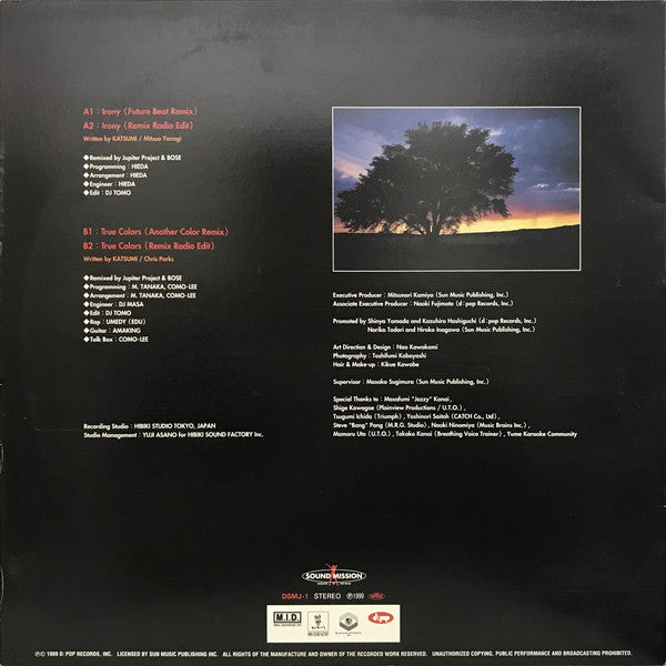 Himiko : Irony / True Colors (12")