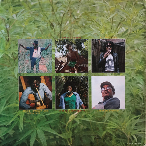 Peter Tosh : Legalize It (LP, Album, Pit)
