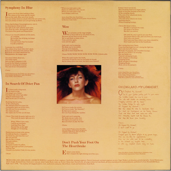 Kate Bush ケイト・ブッシュ ギターピック Kate Bush ケイト・ブッシュ ギターピック | APPS-BICENTENARIO-PRD-01