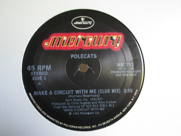Polecats* : Make A Circuit With Me (12", Promo)