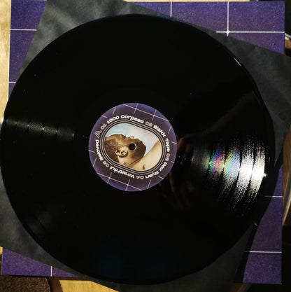 Conway* : Reject 2 (LP, Album)