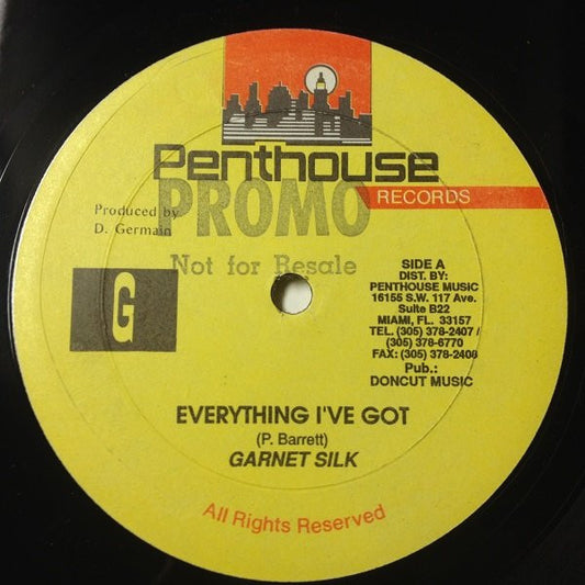 Garnet Silk* : Everything I've Got (12")