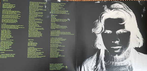 Nick Drake : Pink Moon (LP, Album, RP, 180)