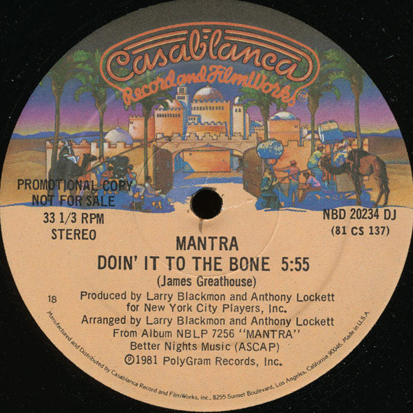 Mantra (4) : Doin' It To The Bone (12", Promo)