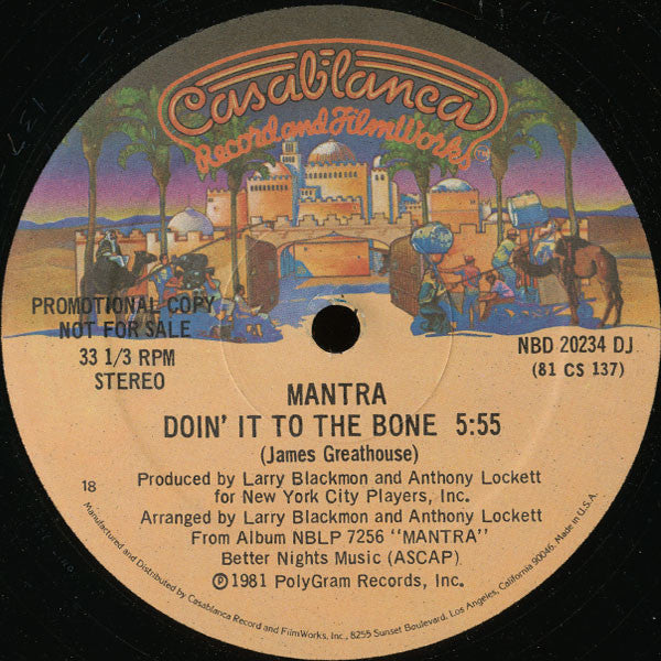Mantra (4) : Doin' It To The Bone (12", Promo)