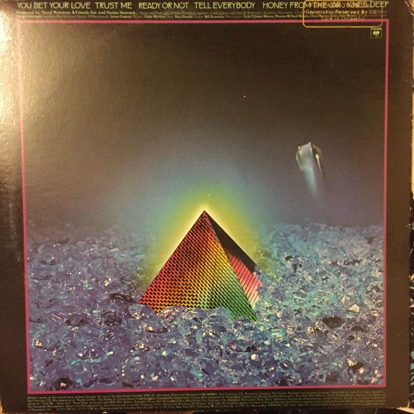 Herbie Hancock : Feets Don't Fail Me Now (LP, Album, Promo)