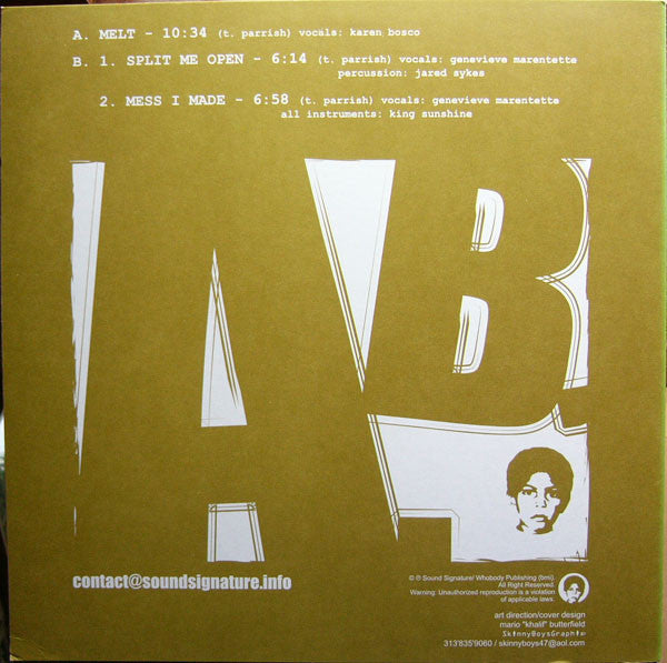 The Rotating Assembly : Natural Aspirations -The 12" Series- (12")