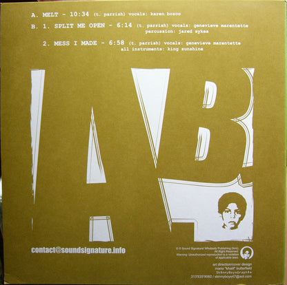 The Rotating Assembly : Natural Aspirations -The 12" Series- (12")