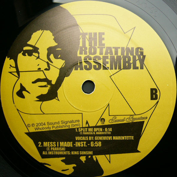 The Rotating Assembly : Natural Aspirations -The 12" Series- (12")