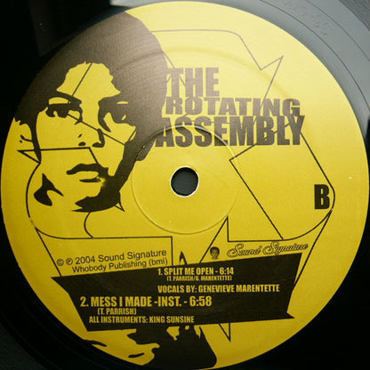 The Rotating Assembly : Natural Aspirations -The 12" Series- (12")