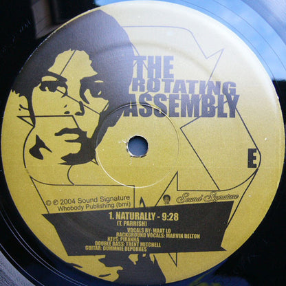 The Rotating Assembly : Natural Aspirations -The 12" Series- (12")