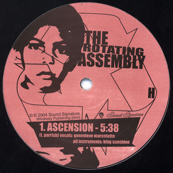 The Rotating Assembly : Natural Aspirations -The 12" Series- (12")