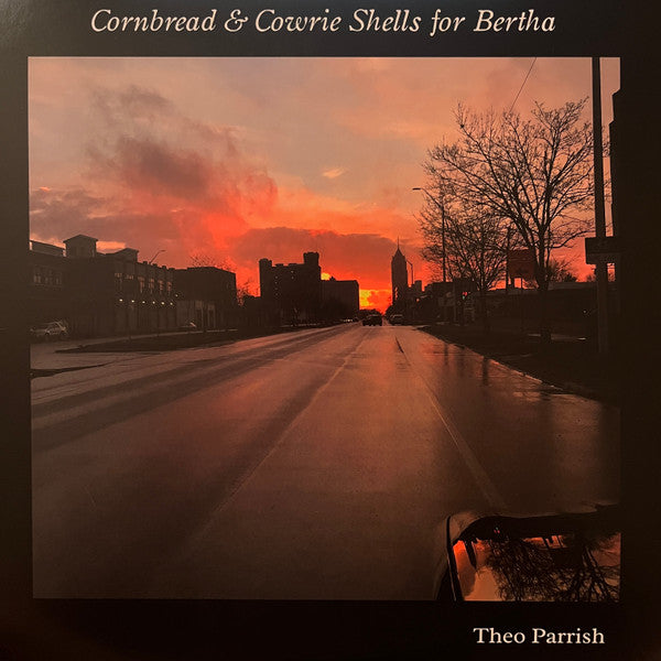 Theo Parrish : Cornbread & Cowrie Shells For Bertha (2xLP, Album)