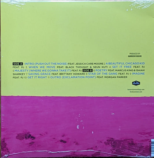 Common : A Beautiful Revolution Pt 2 (LP, Album, Neo)