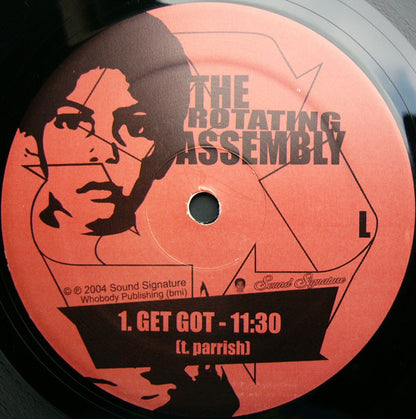 The Rotating Assembly : Natural Aspirations -The 12" Series- (12")