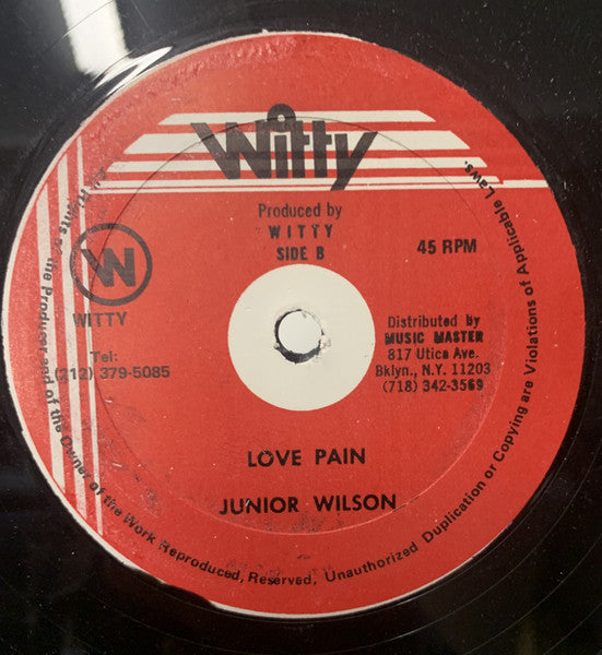 Shelly Thunder / Junior Wilson : Shock Mi A Shock / Love Pain (12")