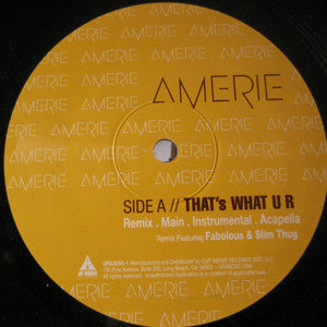 Amerie : That's What U R (Remix) / Some Like It (12")