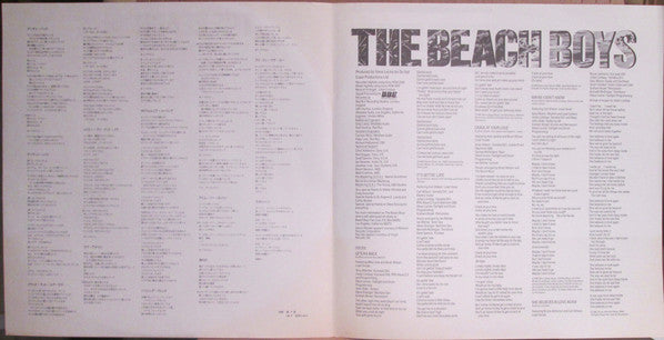 The Beach Boys = ザ・ビーチ・ボーイズ* : The Beach Boys = ザ・ビーチ・ボーイズ (LP, Album)
