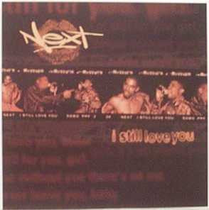 Next (2) : I Still Love You (12", Single)
