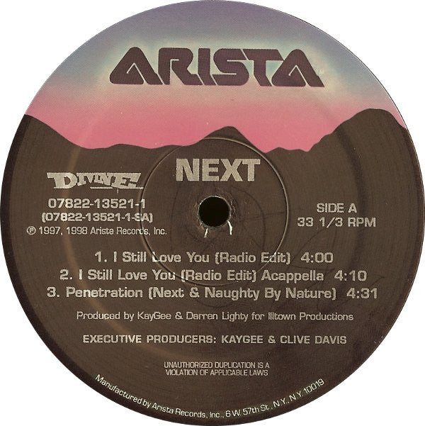 Next (2) : I Still Love You (12", Single)