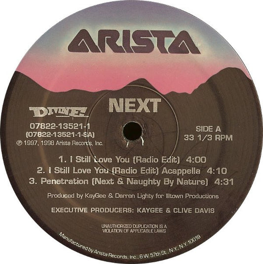 Next (2) : I Still Love You (12", Single)