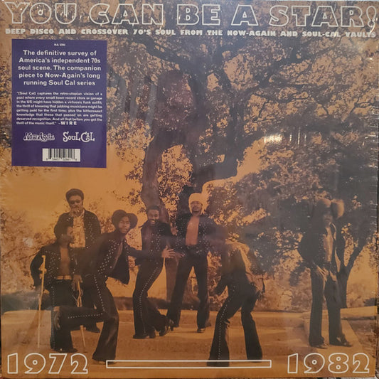 Various : You Can Be A Star!  (LP, Album)