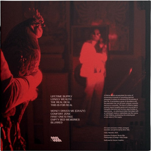 Brian Ellis : Lifetime Supply (LP, Album)