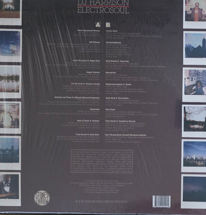 DJ Harrison : ELECTROSOUL (LP, Album)