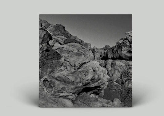 Pugilist : Found Sound (2x12", Album)